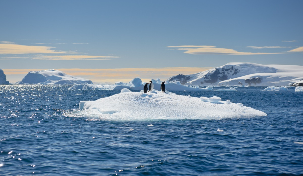 Reduccion hielo antartico