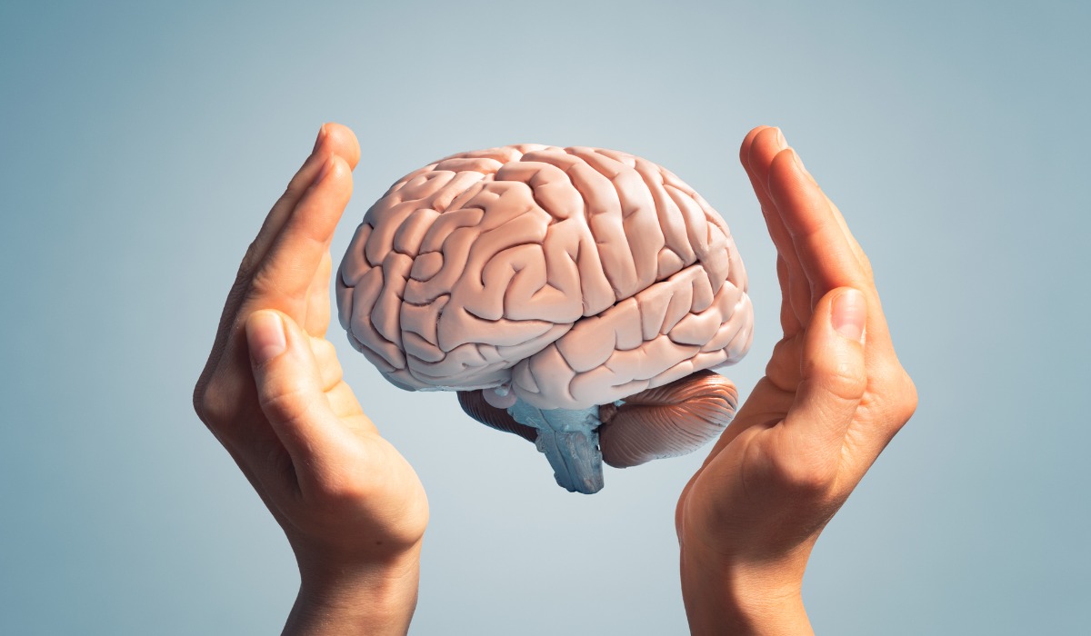 La investigación permite esclarecer cómo se genera el olvido en el cerebro.
