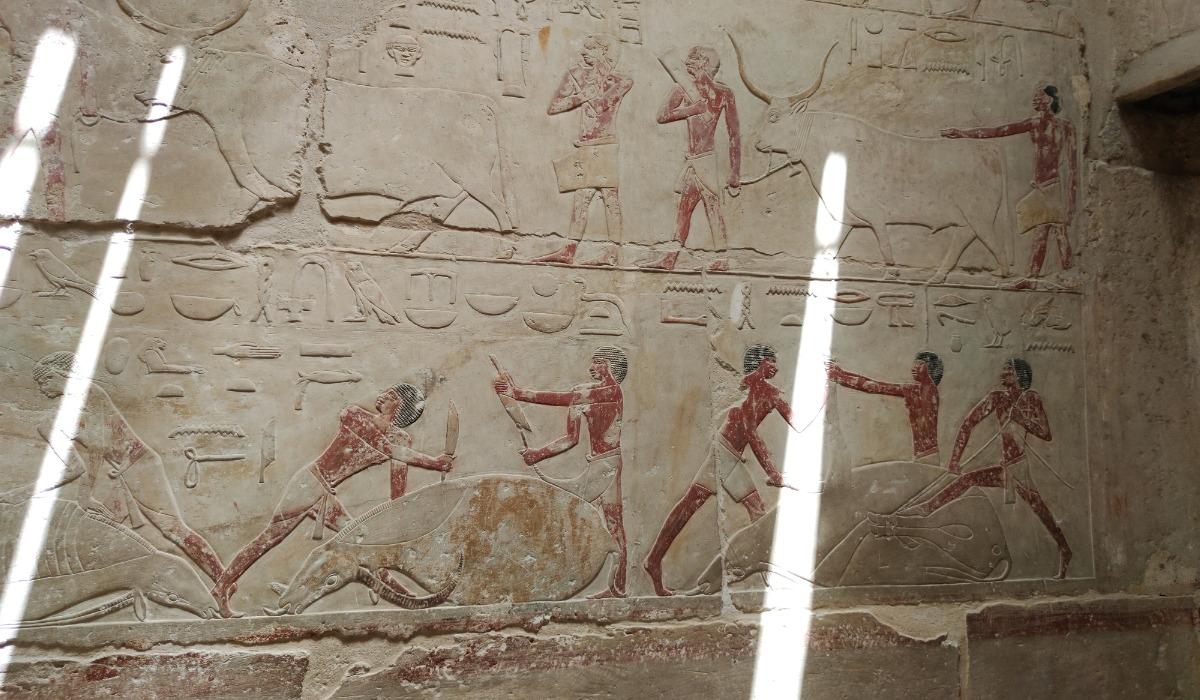 Los arqueólogos se encuentran analizando grabados ornamentales de la pirámide.