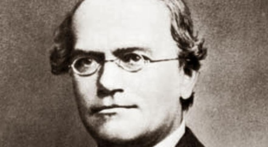 Gregor Mendel y sus aportes a la herencia biológica-0