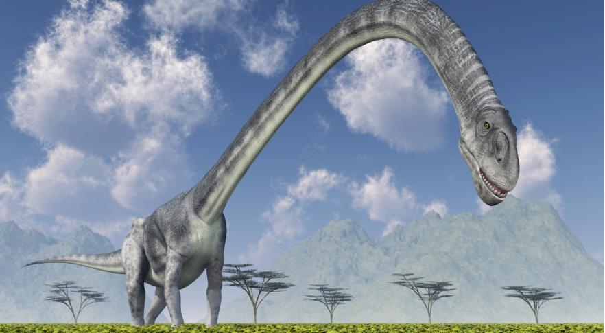 hallan restos del dinosaurio con el cuello más largo