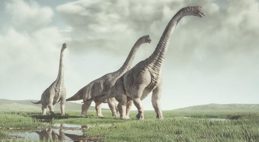 Los dinosaurios adultos cuidaban a las crías de toda la manada