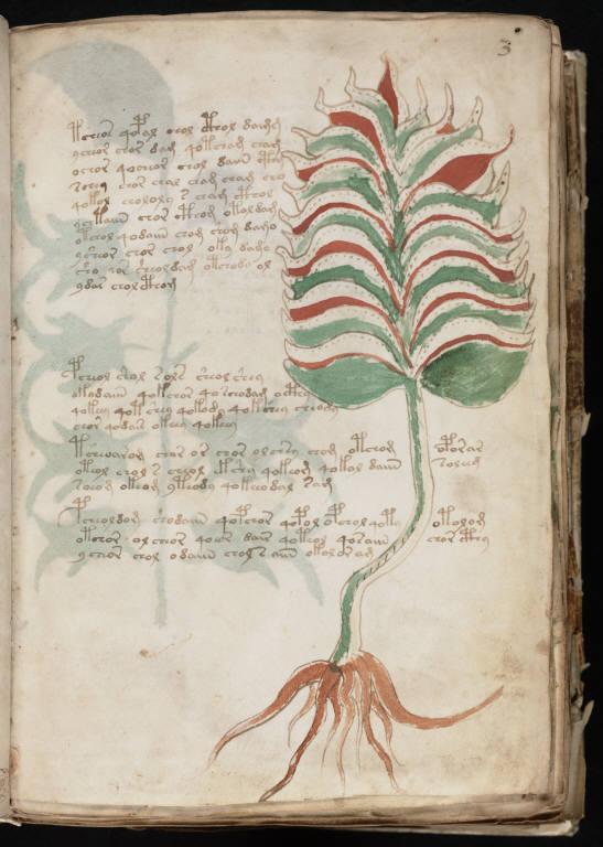 Científicos descubren un idioma jamás descifrado en el misterioso 'manuscrito de Voynich' -0