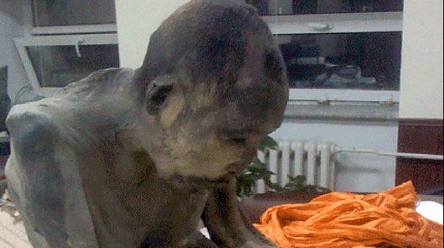 Un monje momificado hace 200 años "no está muerto" y se encuentra en un raro estado de meditación, según un experto allegado al Dalai Lama-0