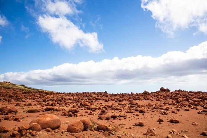 Alerta mundial: científicos detectan peligrosos síntomas marcianos en el planeta Tierra-0