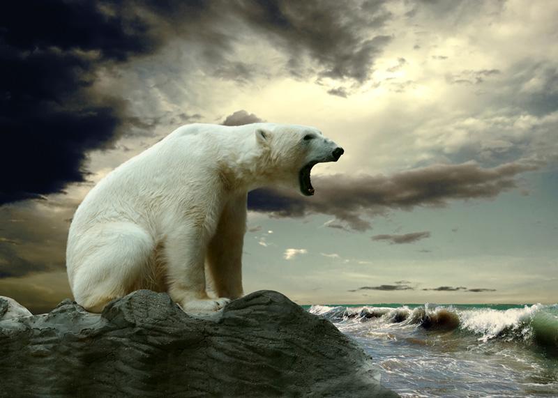 La extinción del planeta ya es una realidad: el punto irreversible de temperatura ha sido superado-0