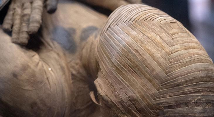 Venden la cabeza de una momia egipcia de 3 mil años-0