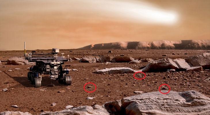 Reconocido entomólogo asegura haber hallado insectos en Marte-0