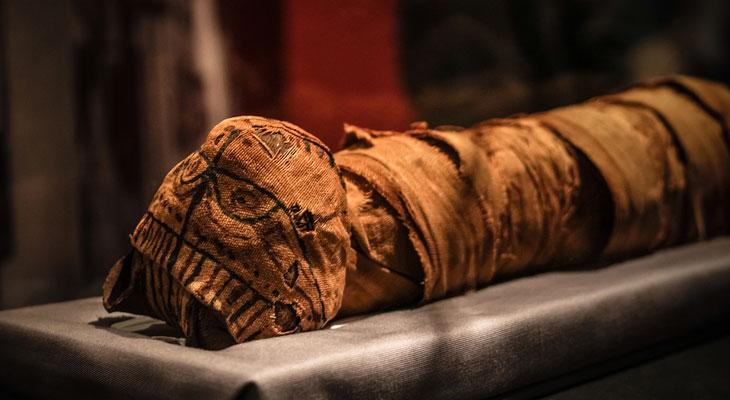 Egipto: hallan animales momificados hace casi 3 mil años-0