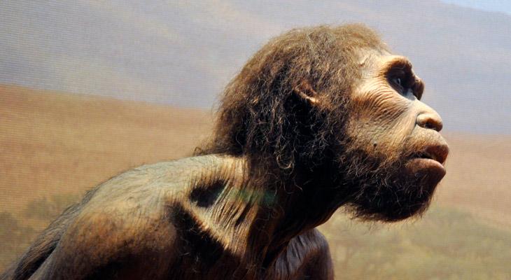 Aseguran que los neandertales se extinguieron por pura mala suerte-0