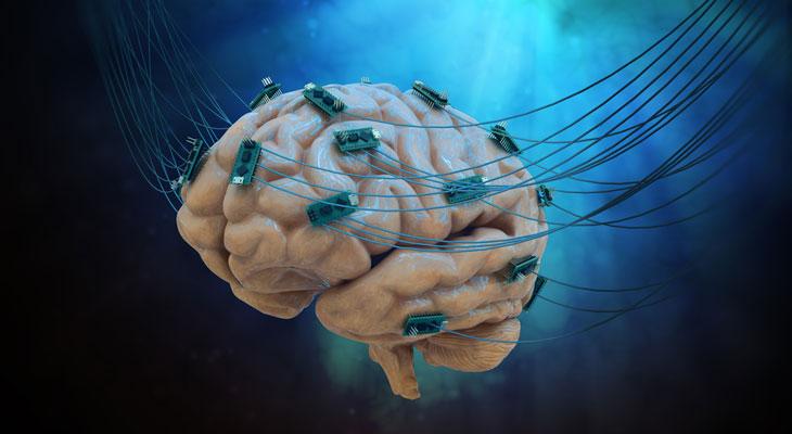 Cultivan electrodos vivos para fusionar el cerebro con un ordenador-0
