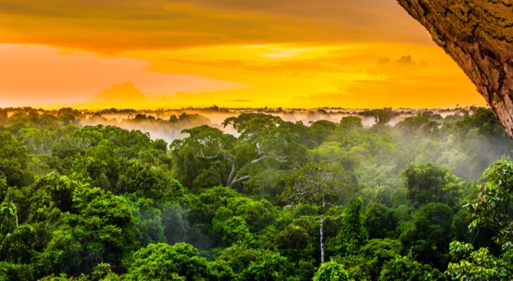 El Amazonas podría desaparecer en tan sólo unas décadas-0