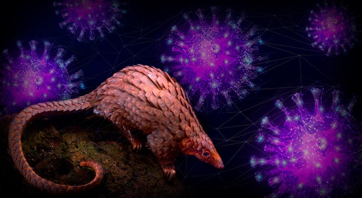 Virus que los animales transmitieron a los humanos y engendraron grandes pandemias-0