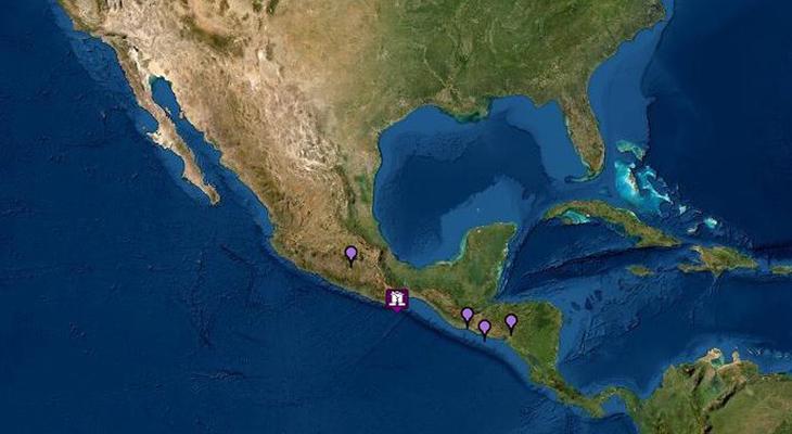 Terremoto de 7.5 grados sacude a México y hay alerta de tsunami-0