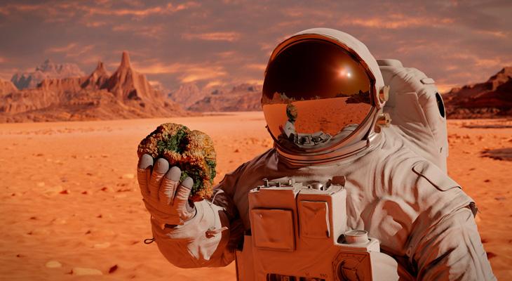 NASA lanza una plataforma para que los internautas ayuden a explorar Marte-0