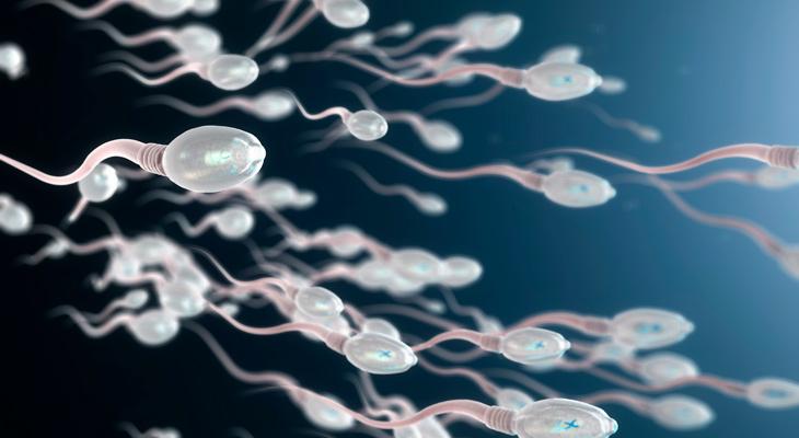 Hallazgo científico: los espermatozoides no se mueven como se creía-0