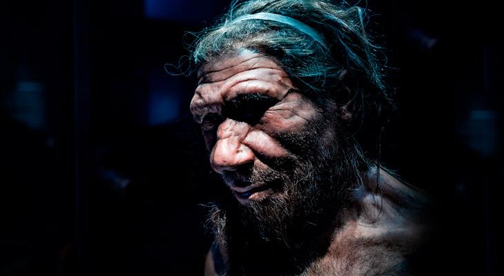 La herencia genética de los neandertales podría ser clave frente al COVID-19-0
