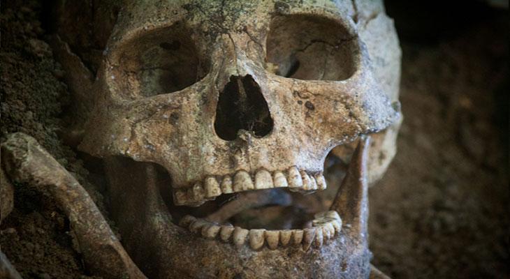 Dientes perforados con rocas y rellenos con alquitrán revelan cómo era la odontología hace 13 mil años-0
