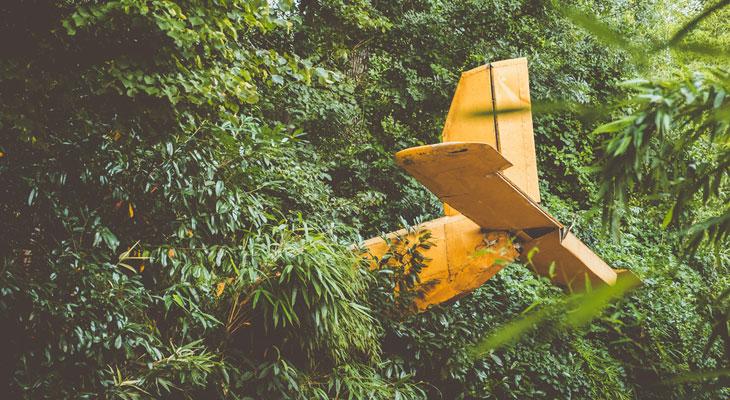 Sobrevivió 36 días en la selva del Amazonas tras caer con su avión-0