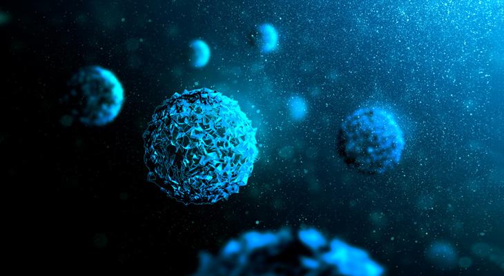 Descubren virus gigantes en el sitio más profundo de la Tierra-0