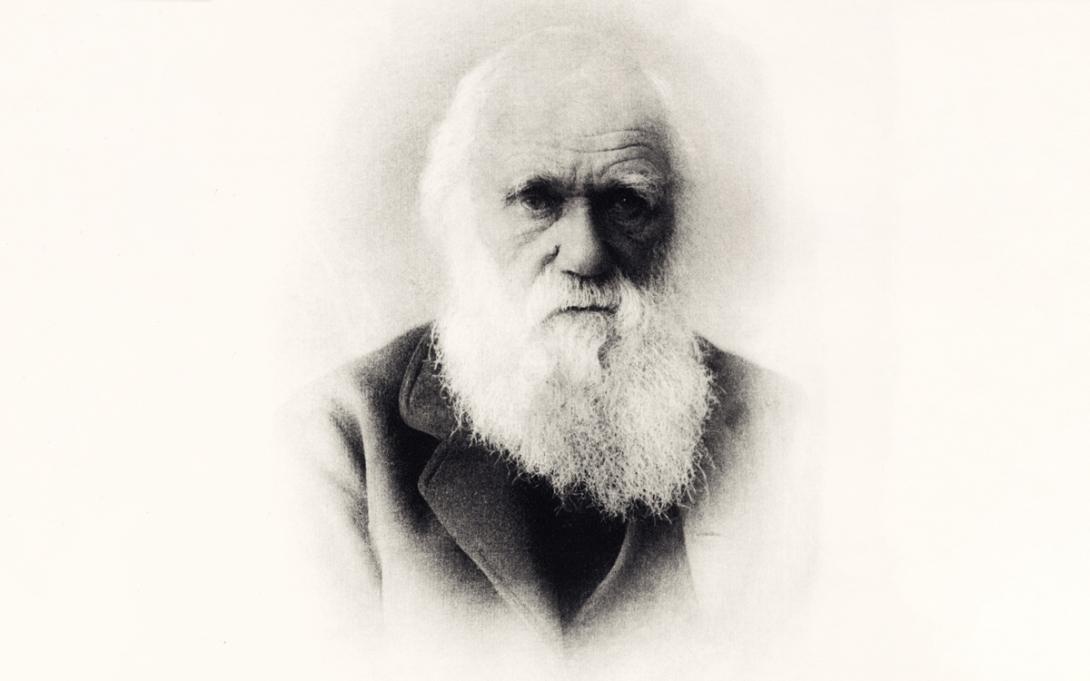 La otra obra maestra de Charles Darwin que casi nadie conoce-0