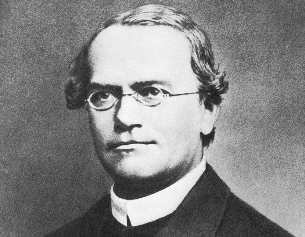Gregor Mendel y sus aportes a la herencia biológica-0