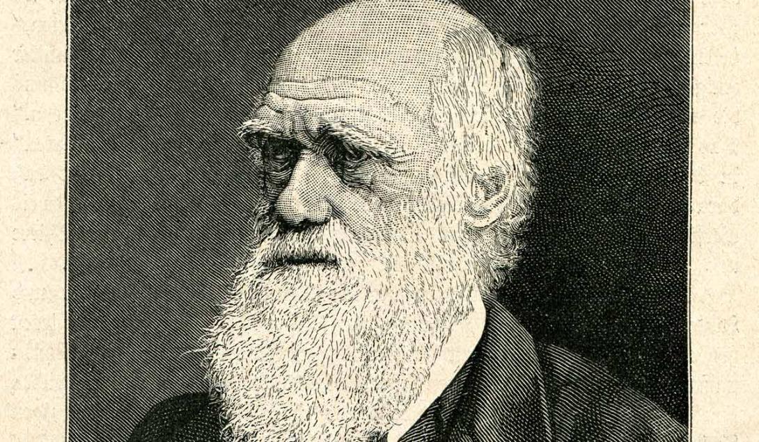 3 experimentos de Darwin que se pueden replicar en casa-0