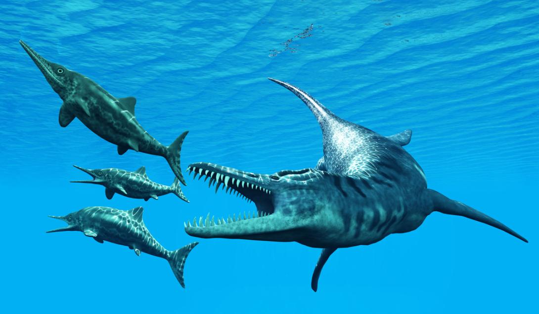 Monstruo de los mares: hallan el cráneo de lo que pudo ser el primer animal gigante del planeta-0