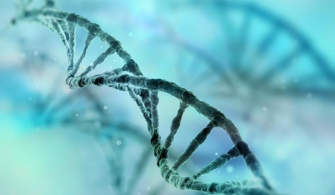 Hazaña científica: descifran por primera vez el genoma completo de un ser humano-0