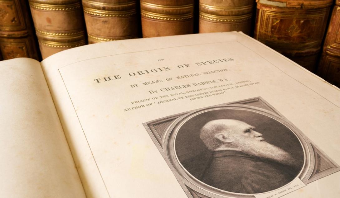Teoría de la evolución: reaparecen misteriosamente dos cuadernos fundamentales de Darwin-0