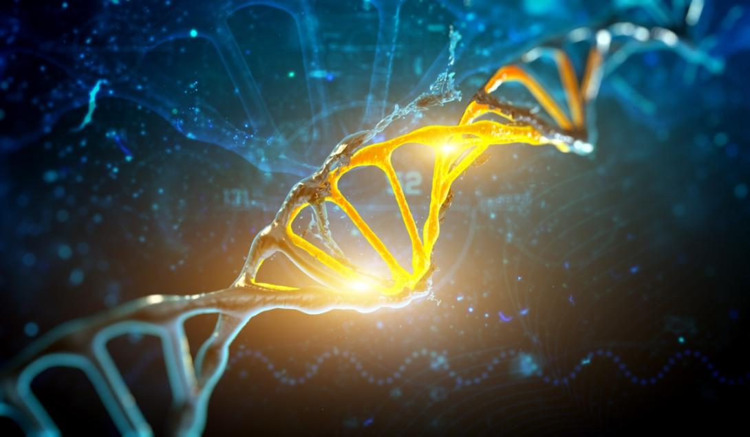Una mutación genética sería responsable de la inteligencia humana-0