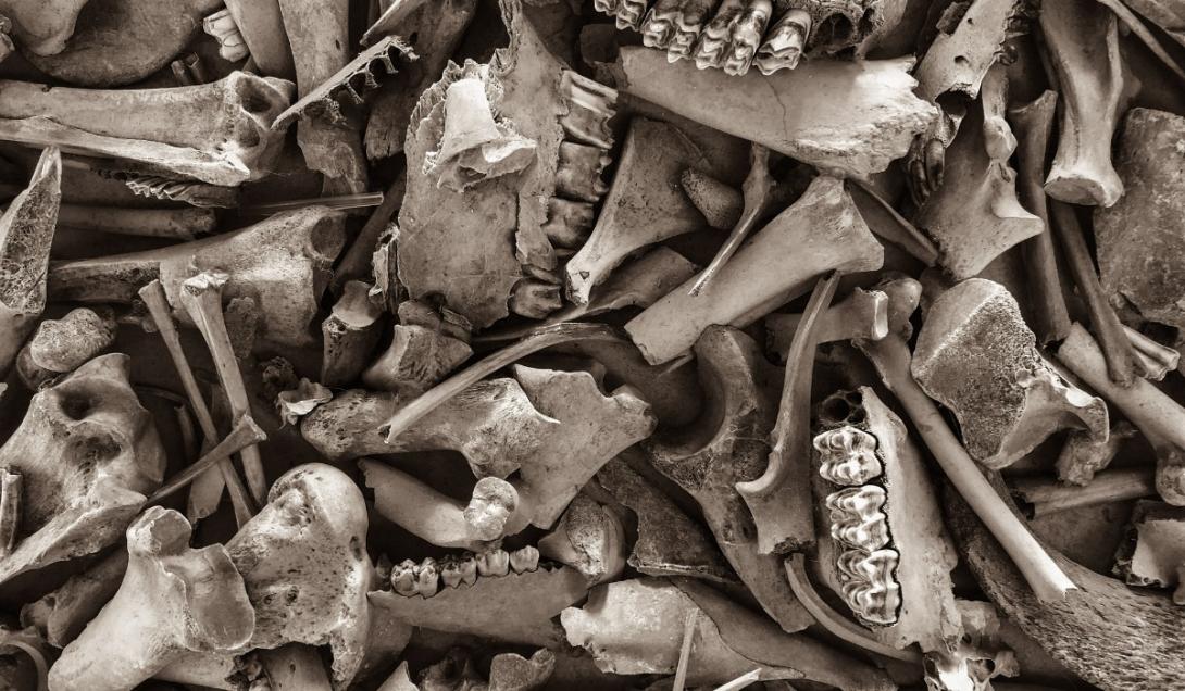 Caída de Tenochtitlan: hallan entierros que evidencian la resistencia mexica tras la Conquista-0
