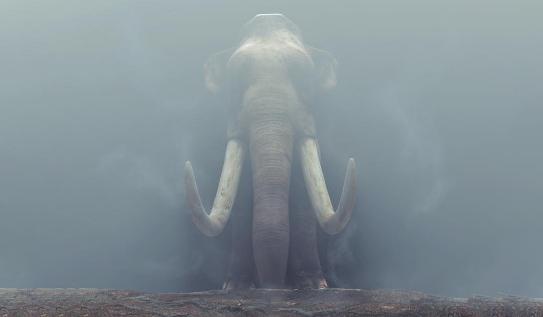 Descubren en Israel un gigantesco colmillo de elefante prehistórico-0