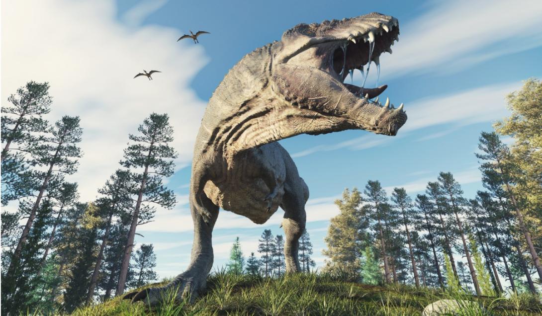 Enorme: el Tyrannosaurus rex era un 70% más grande de lo que se pensaba-0
