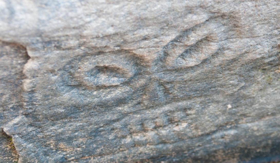 Una sequía en el río amazonas deja al descubierto rostros misteriosos tallados en la roca (FOTOS)-0