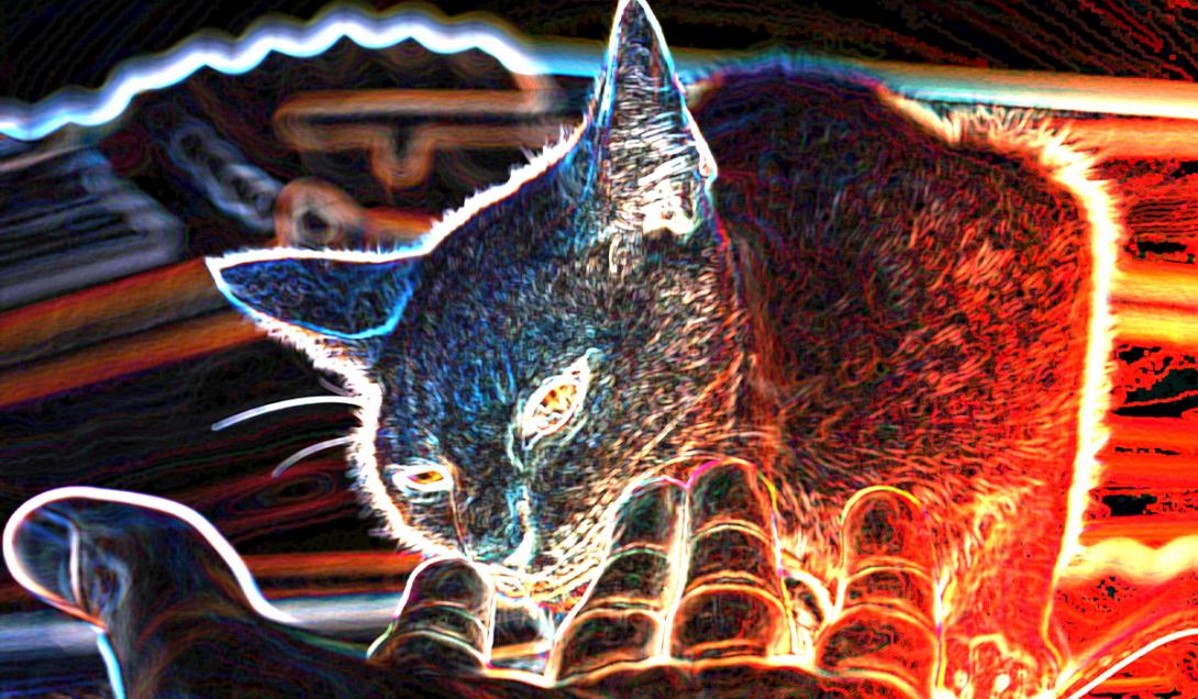 Macak, el gato que puso a Nikola Tesla en contacto con la electricidad-0