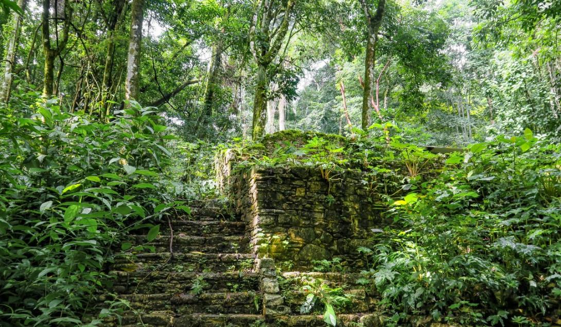 Hallan una ciudad perdida en el Amazonas donde prosperó una sociedad compleja hace 2.500 años-0